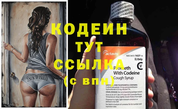 стаф Нея