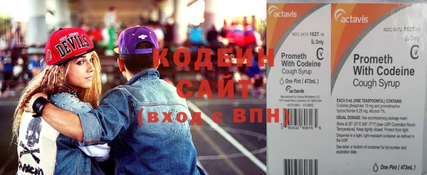 стаф Нея