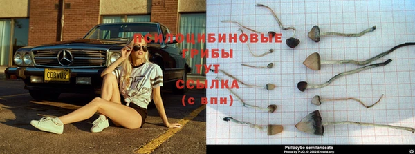 мяу мяу мука Балашиха