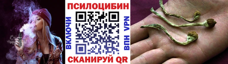 сайты даркнета телеграм  Новоуральск  Галлюциногенные грибы MAGIC MUSHROOMS 